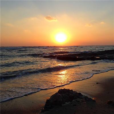 澳门2023全年免费资料大全手机app下载